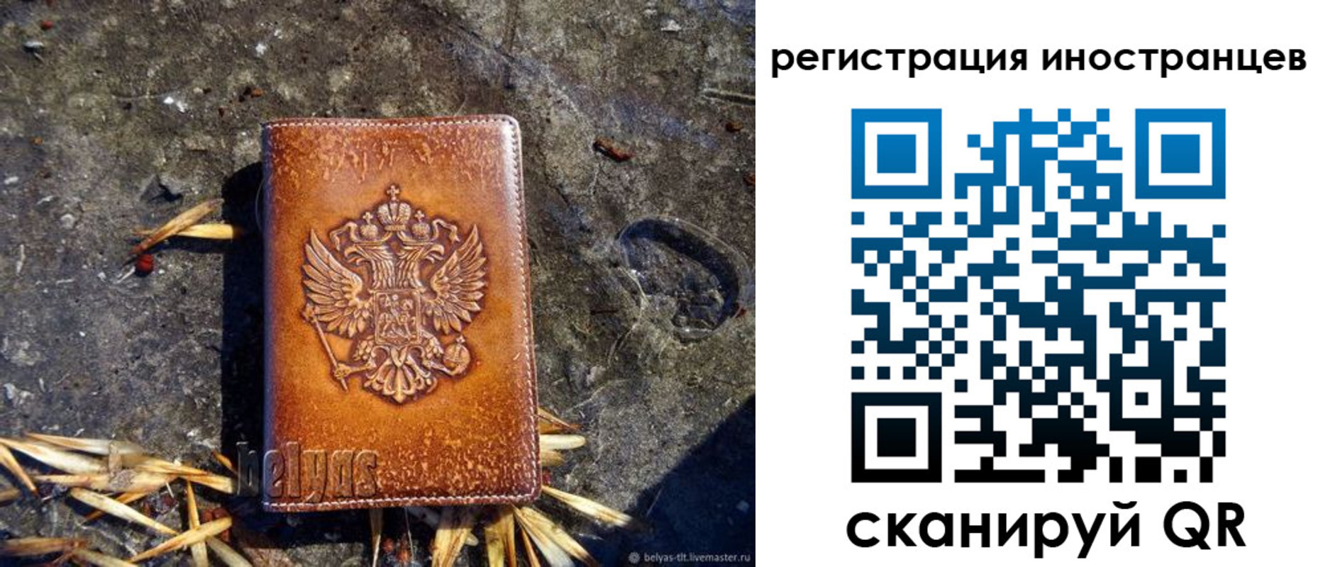 прописка регистрация в Порхове